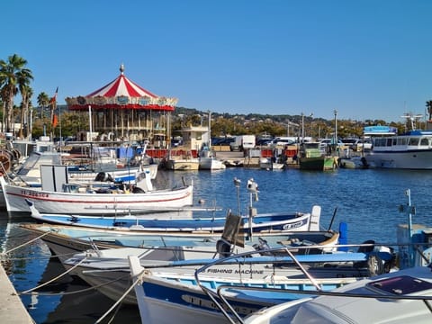 Marina