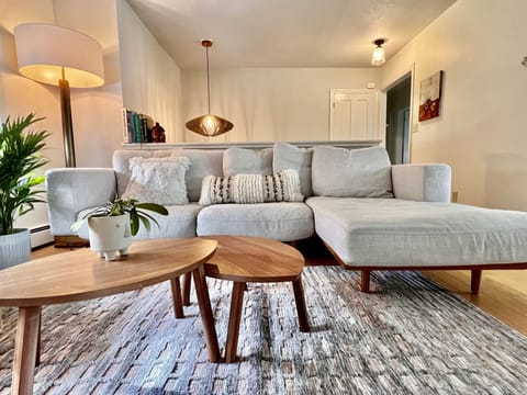 Living room sofa