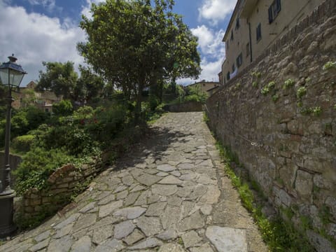 Cloud, Sky, Plant, Road Surface, Land Lot, Vegetation, Grass, Landscape, Flooring, Tree