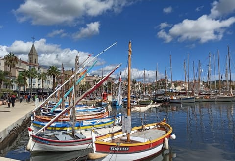 Marina