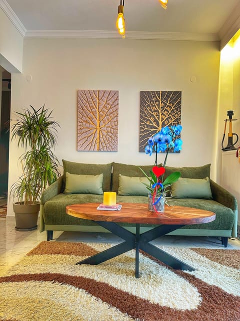 Living room! Bed-sofa!