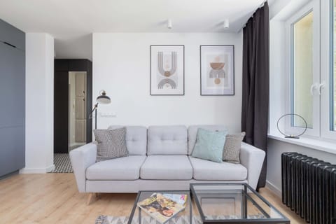 The living area features a sleek coffee table and a flat-screen television.