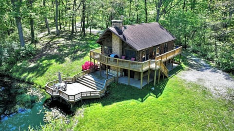 Drone view of property