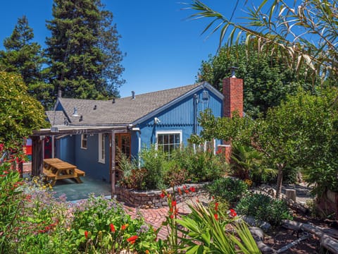 Flowers attract butterflies to enjoy