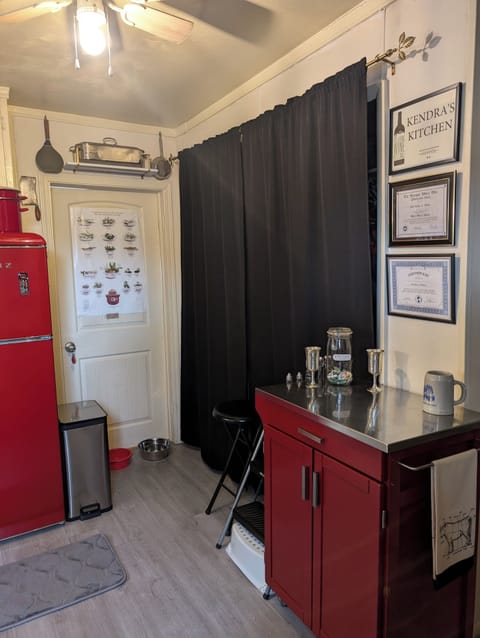 Dog Bowl with Room Temperature Water