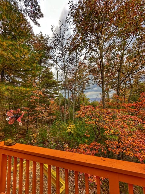 Great views during fall