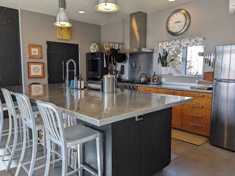 stainless chef's kitchen with island