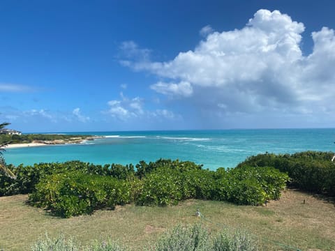 OUR BAY
