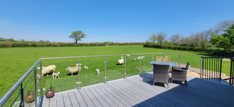 Relax in the sun and enjoy the views to Dartmoor and fields beyond