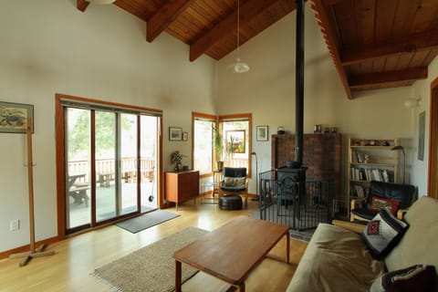 wood burning stove