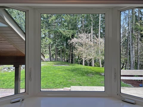 View from the kitchen window