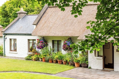 Your luxury thatched cottage with beautifully landscaped gardens & sea views.