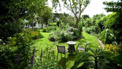 Picturesque organic flower gardens.