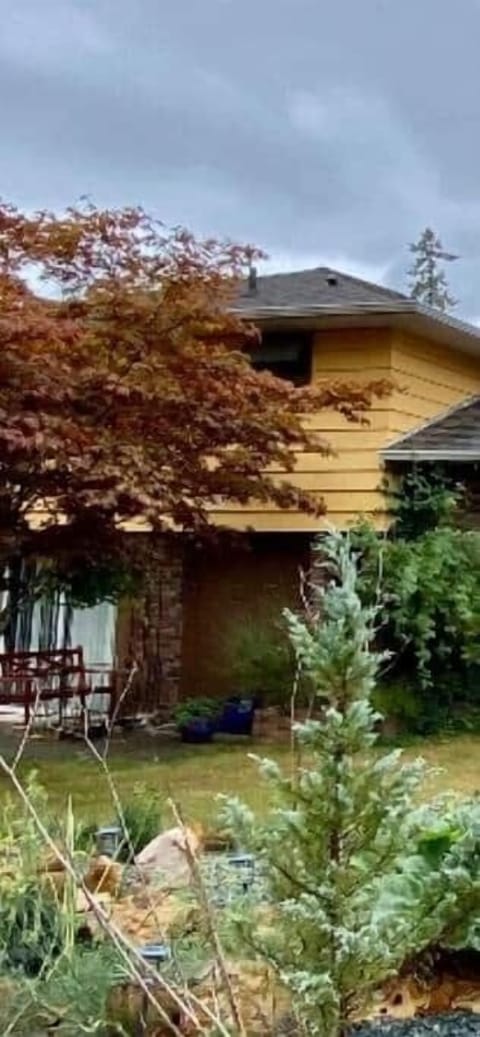 10696021 7a10 4590 8c8b 14c7972d71dc