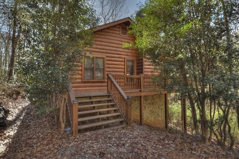 The charming Wander Inn Cabin from the driveway
