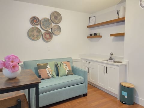 Living room with twin sized sofa bed