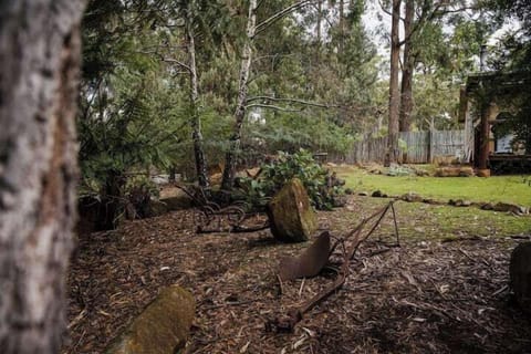 1ebfad06 49fa 4a63 a7a7 267175d100f8