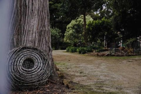 8a80628e dc98 4ab6 9f36 603f5b174c9c