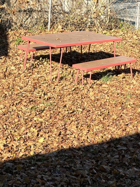 Backyard benches for outdoor eating or relaxing. Check out naturr and biking