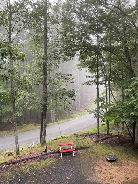 View from the porch on a misty July morning