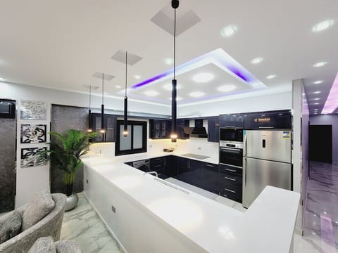 Beautiful American open kitchen design with washing machine, clothes dryer, and dishwasher