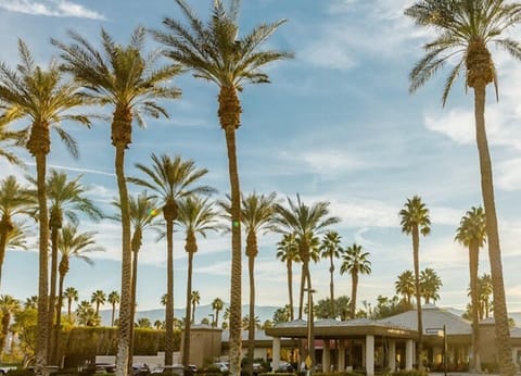 Desert Springs Entrance
