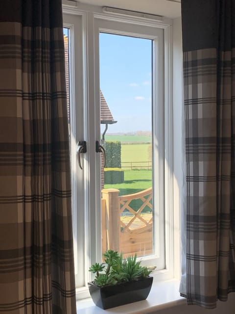 View out of bedroom window