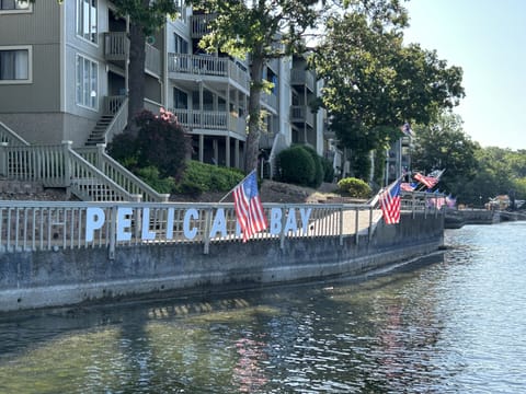 Pelican Bay Paradise