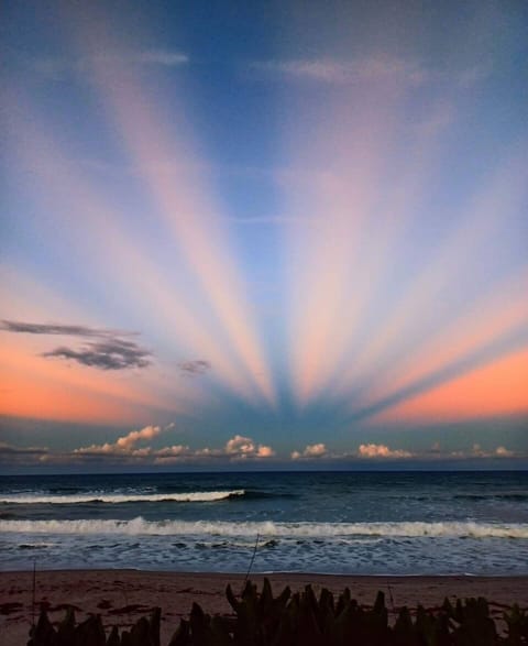 Your spectacular view awaits you in this oceanfront Penthouse with a beautiful balcony. Watch dolphins play, catch a sunset, watch the boats leave the port. You will not be disappointed with the view from this beautifully located unit!