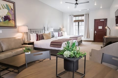 Unwind in a bright studio with plush beds and lounge seating