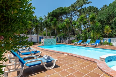 Swimming pool with blue loungers and palm trees — Villa Cassandra, holiday villa in Sintra