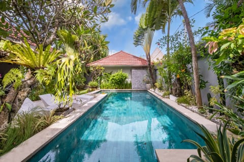 swimming pool with garden