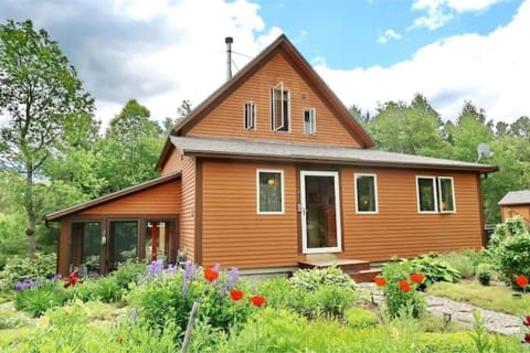 Welcome to The Tulip