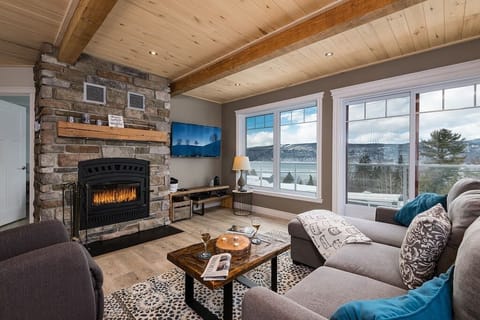 Living room with wood fireplace (1)