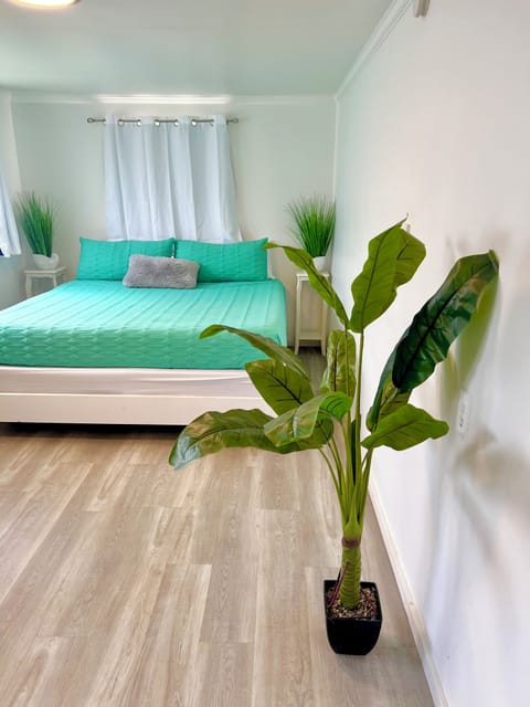 Master with cold AC and black out curtains for the best night sleep
possible 