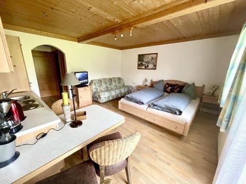 Apartment "hochkönig"/wohn-schlafraum/dusche, WC - Stillinghof Farm Stay in Salzburgerland
