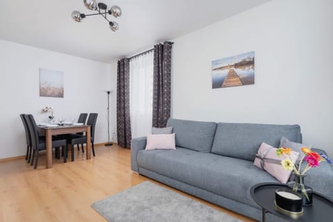 Spacious living room with dining table and chairs, light grey double sofa bed, and elegant black coffee table.