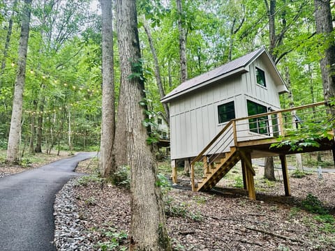 Luxury treehouse with elevated forest views, perfect for a romantic getaway or adventure in nature. Includes a private deck and access to hiking trails.