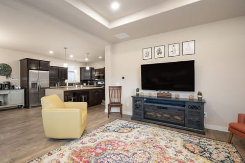 Large 65" TV with Roku