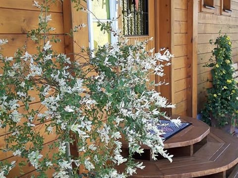Landhaus Sonnenschein IM Herzen von Schladming - Landhaus Sonnenschein Apartment in Schladming