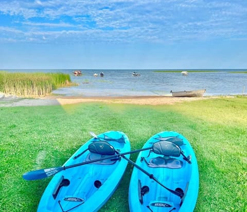 Kayaking in the Bay is Fun! 🛶