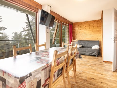 Spacious apartment, south exposition, close to ski slopes and the center of the city, with a large bay window, view on nature.