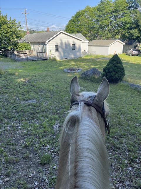 Back of house from horseback!