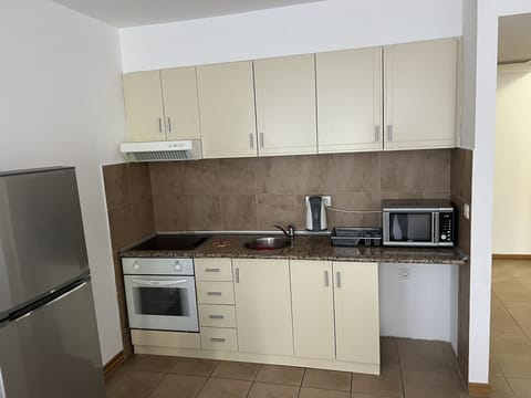 The fully equipped kitchen with all necessary amenities