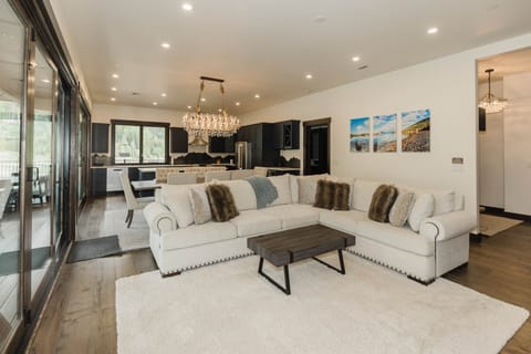 Open concept living/kitchen area 