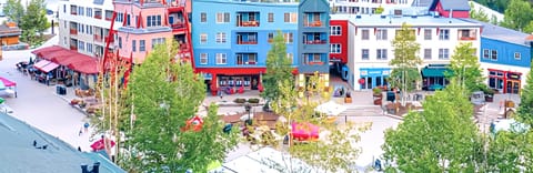 Welcome to The Baldwin at Keystone 🏔️
🌟 The most exclusive luxury penthouse in the finest location within Summit County! 🏞️