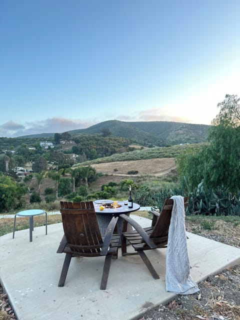 Your fireplace with a view