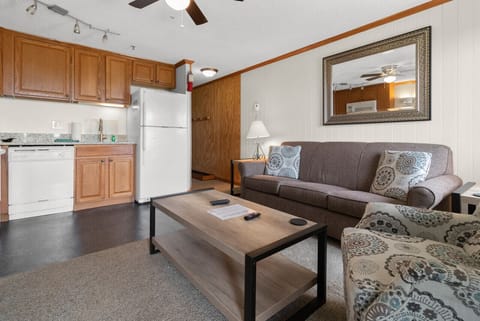 Fold-out couch sleeps two people