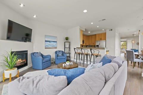 Living room (TV, fireplace, AC, large windows to backyard)