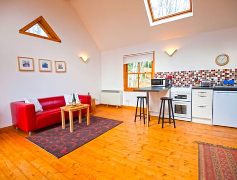 Downstairs living area & kitchenette